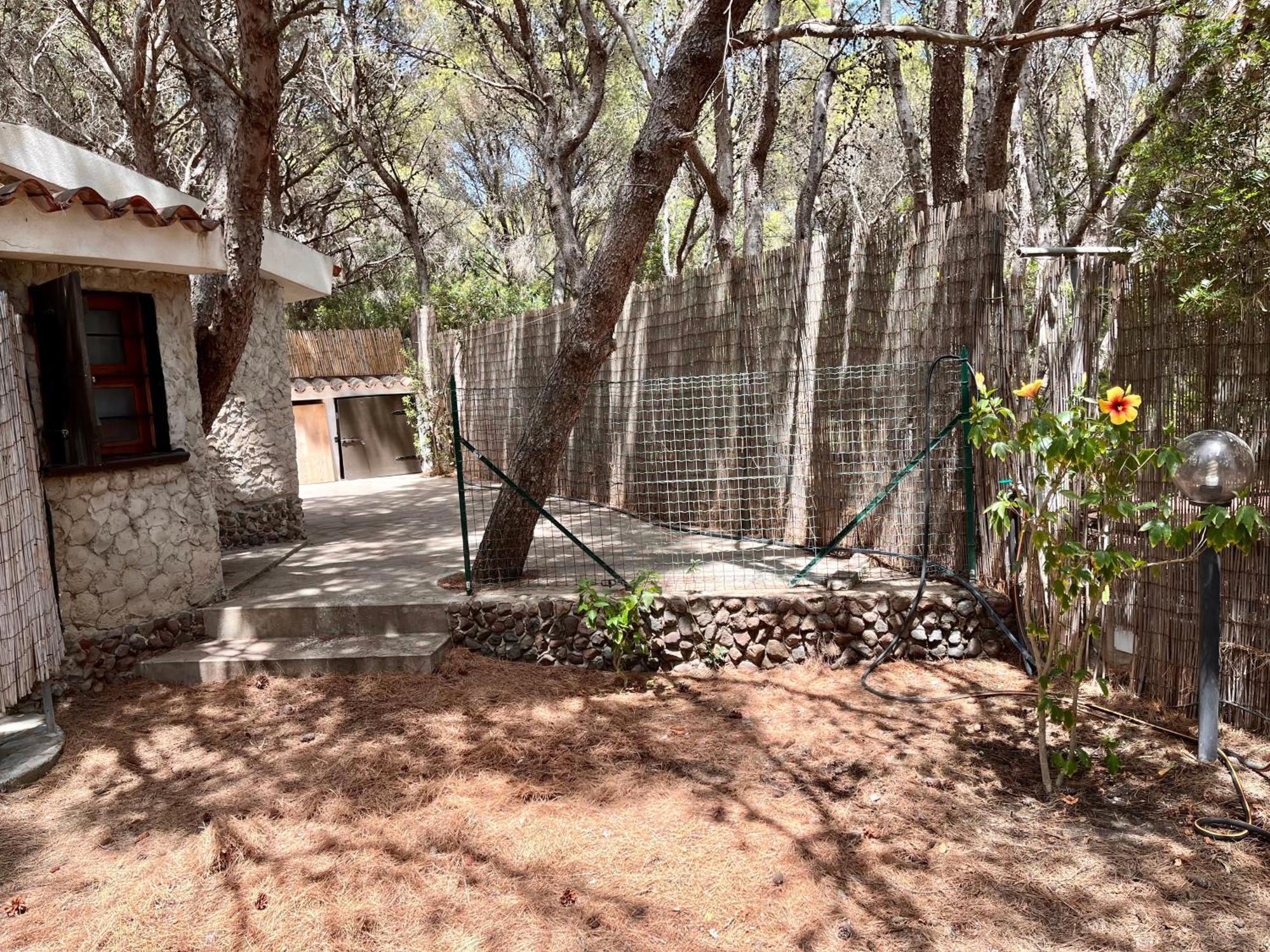 Rustico Porto Pino 30 Mt Dalla Spiaggia Eksteriør bilde